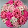 suelovestoshop